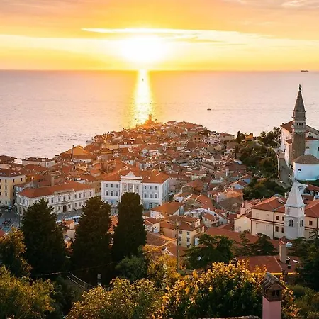 Rex - Free Parking *