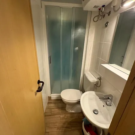 Rex - Free Parking Piran