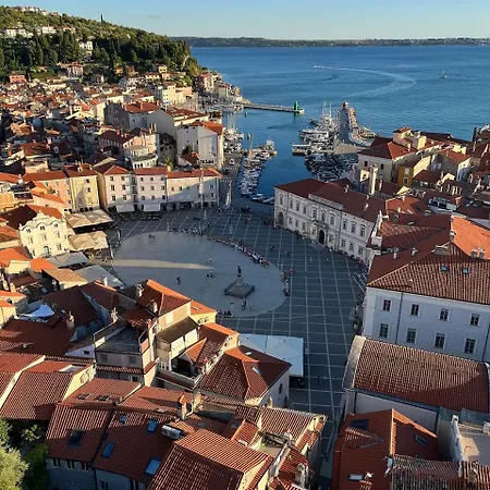 Rex - Free Parking * Piran