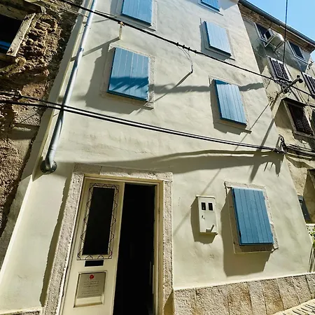 Rex - Free Parking Piran