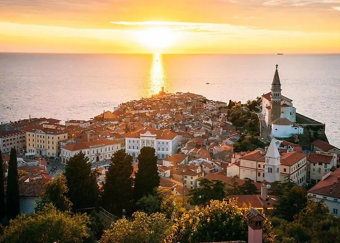 Rex - Free Parking *