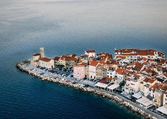 Rex - Free Parking Piran