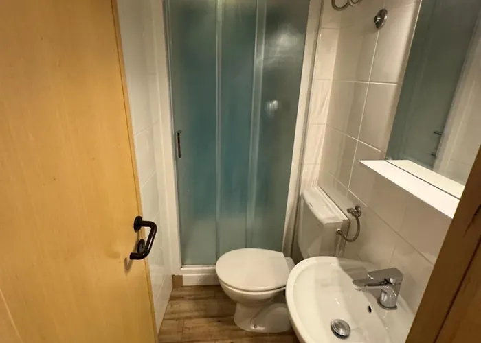 Rex - Free Parking Piran