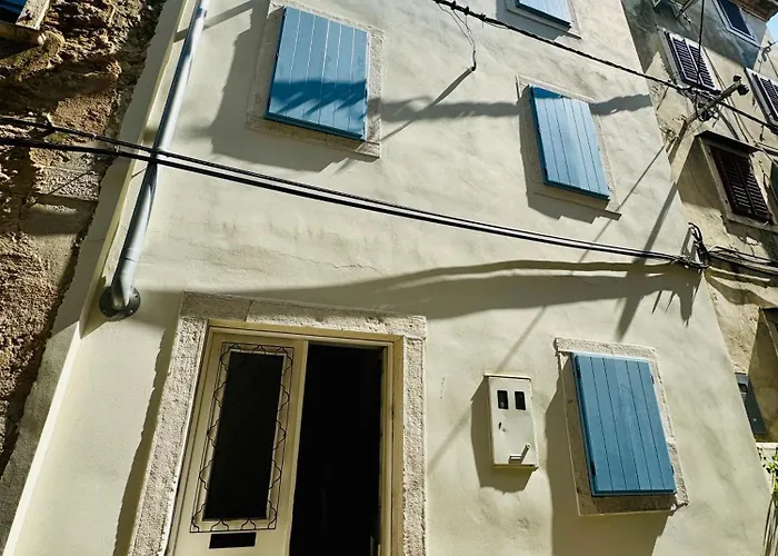 Rex - Free Parking Piran